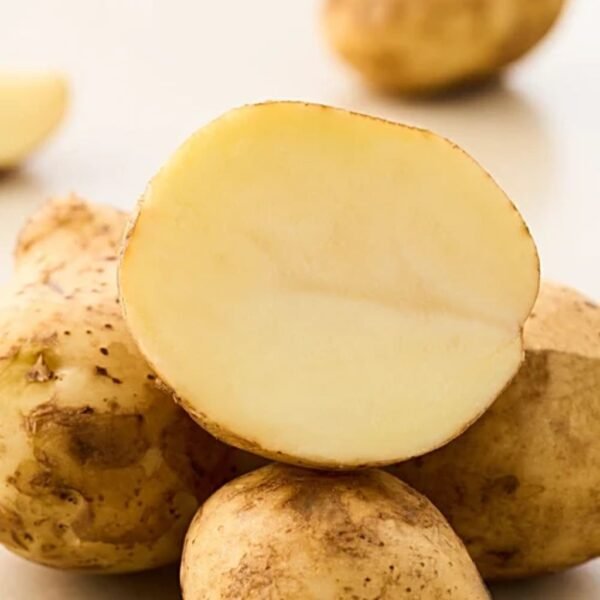 Potato - Image 2