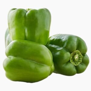 Capsicum - Green