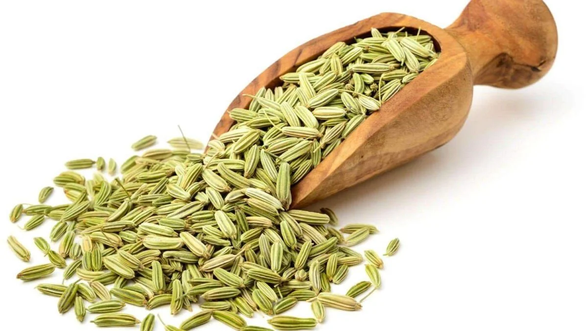Saunf - Fennel Seeds Whole Natural, No Artificial Color, Clean Big Saunf 100gm - Image 2