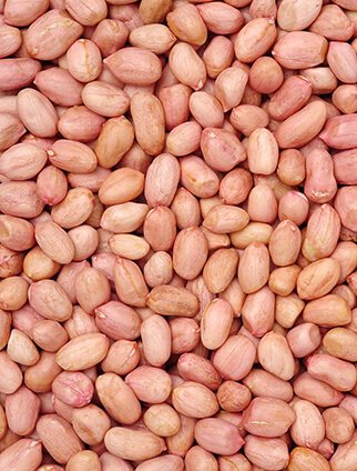 Peanut Seed (Mumfali Seed) - 250 gm